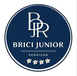 Pensiunea Brici Junior, Cluj-Napoca