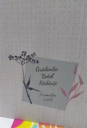 Gradinta Betel, Rădăuţi