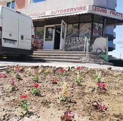 Aprozar Madysabel Constanta