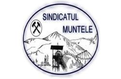 Sindicatul Muntele CEVJ, Petroşani