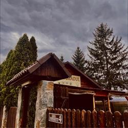 Terasa Bradul, Caransebeş