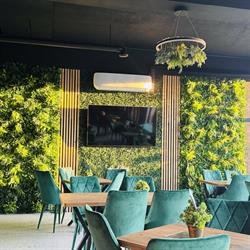 Green Cafe Motru