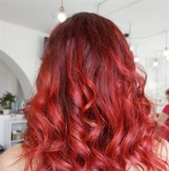 Friedmann Beauty Salon, Timişoara