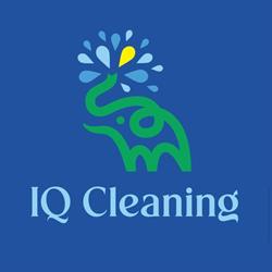IQCleaning, Floreşti
