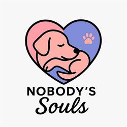 Nobody's Souls, Hunedoara