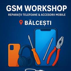 GSM Workshop, Bălceşti