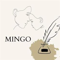 Centru Educational Mingo, Timişoara