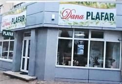 Dana Plafar, Bacău
