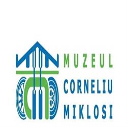 MX Muzeul Corneliu Miklosi, Timişoara
