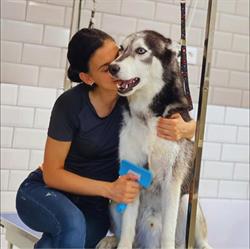 Pet Spa Shop&More, Baia Mare