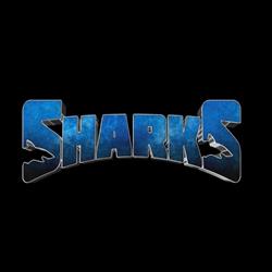 Baschet Club Laguna Sharks, Bucureşti