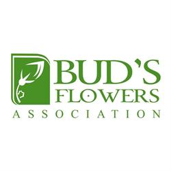 Asociatia Bud's Flowers, Bucureşti