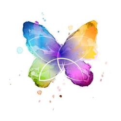 Butterfly Academy, Timişoara
