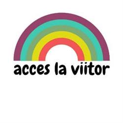 Asociatia Acces la Viitor, Satu Mare
