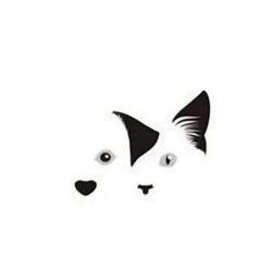 Cabinet Veterinar ASEBE VET, Carei
