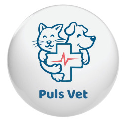 Puls Vet, Bucureşti