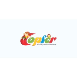 POWER TEAM COPFER S.R.L., Iaşi