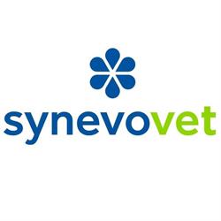 Synevovet, Bucureşti
