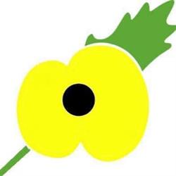 Yellow Poppy, Drobeta-Turnu Severin