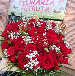 Floraria Petruta Brasov