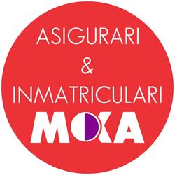 Inmatricularimoka, Timişoara