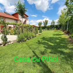 Casa cu Pitici, Murighiol