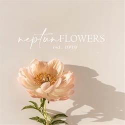 Neptun Flowers, Satu Mare