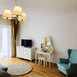 Arte Studios Brasov