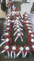 Pompe funebre Daniel, Baia Mare