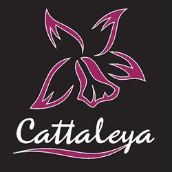 Cattaleya Flower Boutique, Paşcani