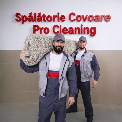 Spălătorie Covoare Timișoara - Pro Cleaning, Timişoara