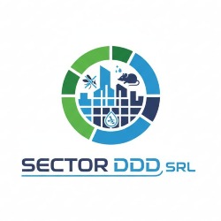 SECTORDDD, Bucureşti