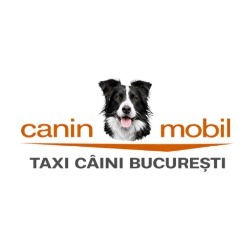 Avi Euronatexim Group Srl, Bucureşti