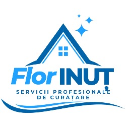 FlorINUȚ Clean - Servicii de curățenie Bistrița, Salva