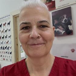 Clinica Veterinară Bassy, Dumbrăviţa