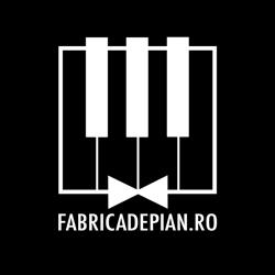 Fabrica De Pian, Petroşani