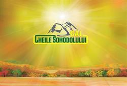 GAL Cheile Sohodolului, Răchiţi