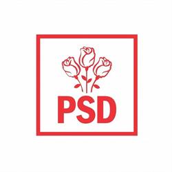 PSD Piatra Neamt