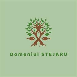 Ospataria Stejaru, Ion Creangă