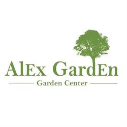 AlexGarden Iaşi