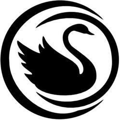 Agentie imobiliara, The Black Swan, Ploiesti