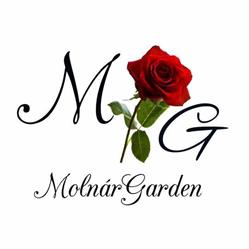 MolnarGarden, Lopadea Nouă