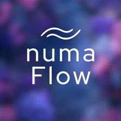 numaFlow, Baia Mare