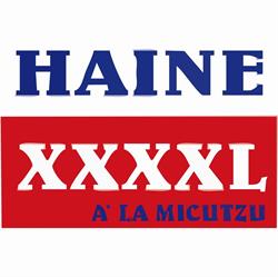 HAINE XXXXL ALAMICUTZU, Târgu Mureş