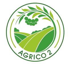 Piaţa Agroalimentară, Oraviţa