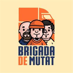 Brigada de Mutat, Timişoara