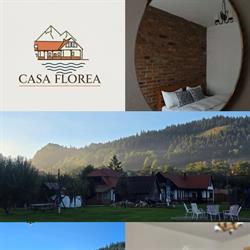Casa Florea Stanceni, Stânceni