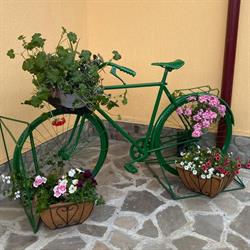 Casa de vacanta - Ograda cu flori, Almaş