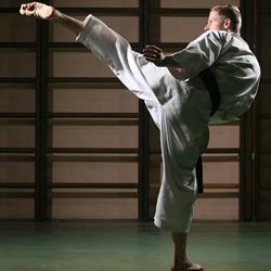 Karate Seido Timisoara