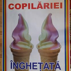 Bucuria Copilariei, Şcheia